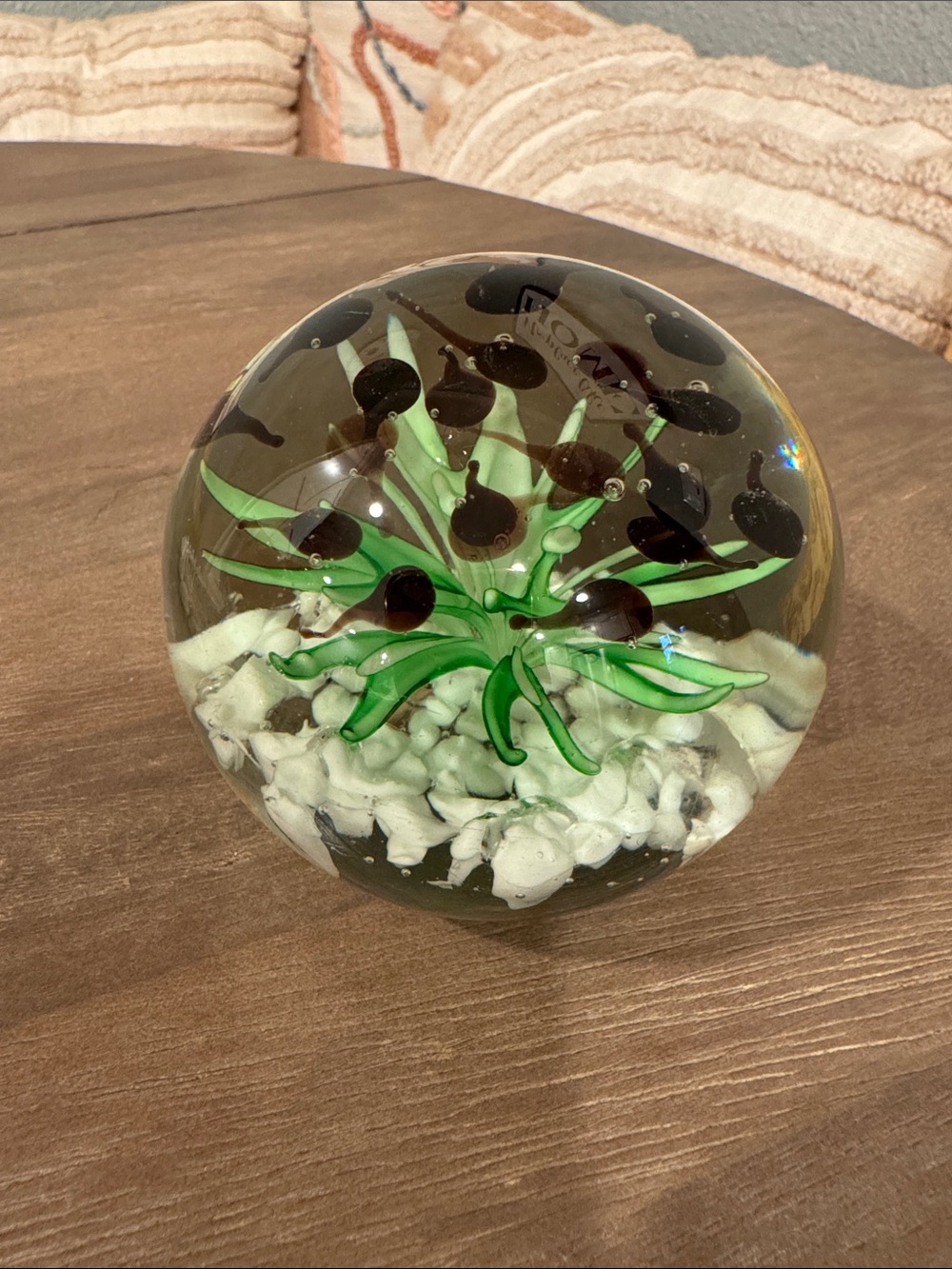 Dynasty Gallery Heirloom Collectibles Tadpole Art Glass Paperweight hand-blown